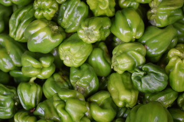 Fototapeta na wymiar green bell peppers