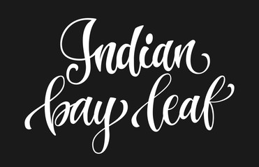 Vector hand drawn calligraphy style lettering word - Indian bay leaf. White colored isolated design. Isolated script spice text label. Labels, stikers, packages design element.