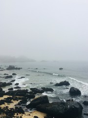 foggy sea side
