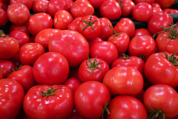 bunch of tomatoes