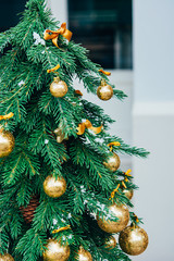 Christmas background. Green fir tree with golden balls. - 302508106