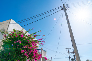 Fototapeta premium Typically Mediterranean power supply pole with radiating power lines