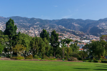 Fototapeta na wymiar View of Funchal city from the park