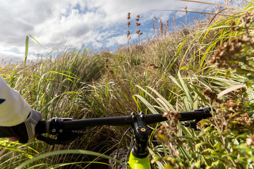 Bicycle riding through tall grass