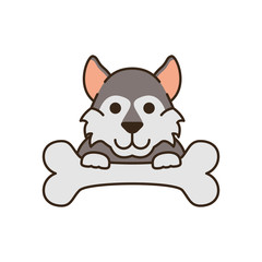cute little dog husky with bone fill style icon
