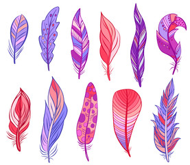 Set of colorful bird feathers isolated on white. Vector. Creative bohemia concept for wedding invitations, cards, tickets, congratulations, branding, logo label, emblem.