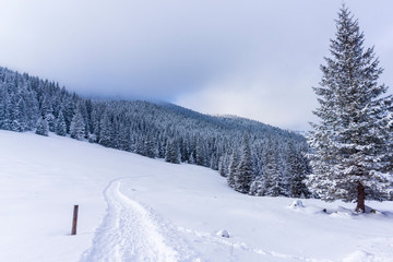 Fototapeta na wymiar Beautiful winter landscape on Rusinowa Glade. Tatra mountains.