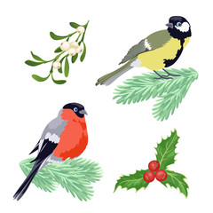 Tit bird, bullfinch sitting on fir branch, mistletoe and holly berries isolated on white background. Set of vector holiday festive christmas illustrations in cartoon simple flat style.