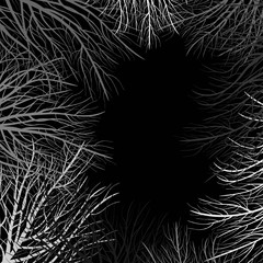 Grey branches. Dark background in modern style. Botanical background. Abstract concept graphic element.