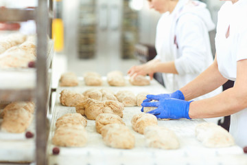 Baker's hands preparing the dough for baking bread .