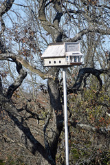 Birdhouse