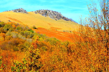 Typical landscape in the forests of Transylvania, Romania. Oravita and Anina