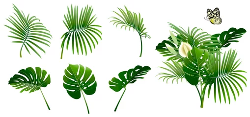 Fototapete Tropische Pflanzen Set Zweige tropischer Pflanzen