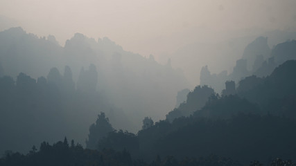 Misty sunrise at China rock mountains valley. Zhangjiajie Wulingyuan
