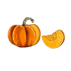 Hand drawn colorful pumpkin with pieces isolated on white background. Vector illustration in retro style.
