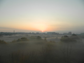 Fog is the most beautiful natural phenomenon.