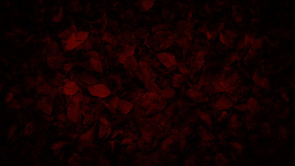 Rötliches Laub - Herbststimmung - Hintergrund
