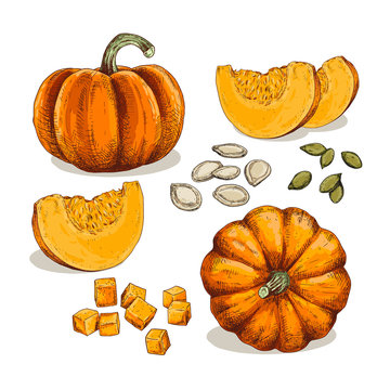 Hand drawn colorful pumpkin. Set sketches with pieces pumpkin, cubes and seeds. Vector illustration isolated on white background.