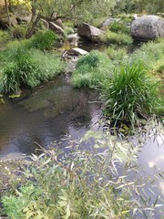  Wild nature. Panorama of the river with its ecosystem