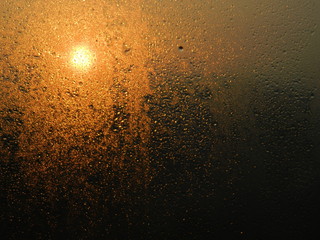  Drops of dew on the glass backlit by the morning sun.