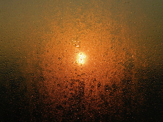  Drops of dew on the glass backlit by the morning sun.