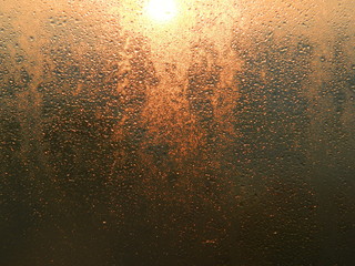  Drops of dew on the glass backlit by the morning sun.