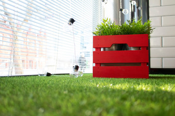 interior decoration flower in a red box and artificial grass.