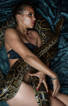 sexy woman with tiger python in bikini