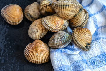 Top view of a group of raw cockles on blue and white dishcloth and wet dark slate background