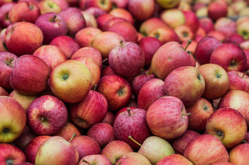 Fototapeta na wymiar red apples at the market