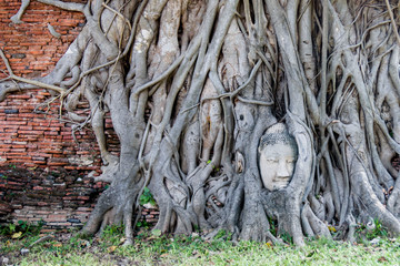 Świątynia, Tajlandia, Głowa buddy