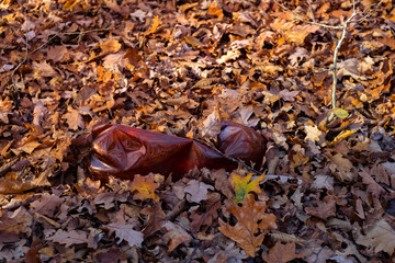 A dirty plastic bottle left in the autumn forest