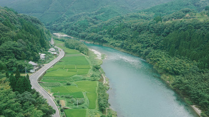 Fototapeta premium Aerial view of pine trees and wood forrest with a small road and rice fields next to the river in Japan. Miyazaki, Saga, Kumamoto, Kyushu, Japan