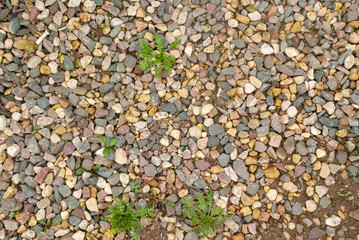 texture of multicolored gravel