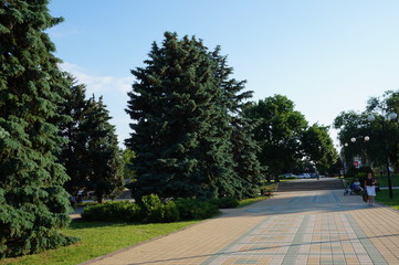 path in the park