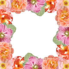 Beautiful floral background of roses and mallow. Isolated