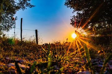 Obraz premium Zonsondergang_01