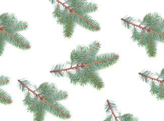 Pattern of branches of Christmas tree isolated on white background