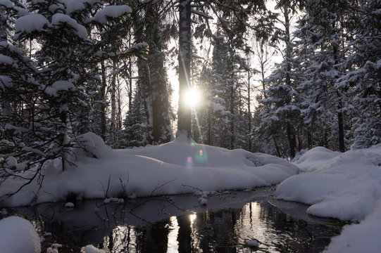 winter in the park