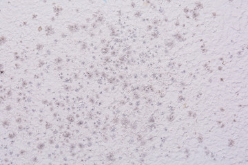 Black spots of toxic mold and fungus bacteria on a white wall. Concept of condensation, damp, water infiltration, high humidity and respiratory problems.