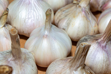 Obraz premium A closeup of garlic. View from above. Garlic cloves for pattern and background. Concept: Spices, seasonings and preservatives. Cooking spicy food.
