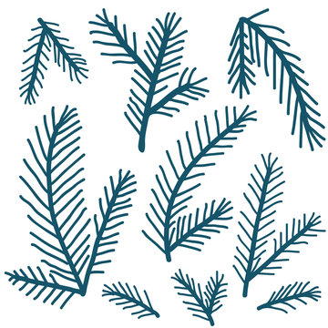 Doodle pine branches hand drawn set. Christmas tree branches on white. Winter simple minimalistic vector illustration for christmas greeting cards, backgrounds and holiday decor