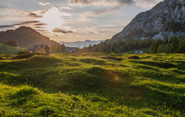Wiese im Sonnenuntergang auf der Tauplitzalm im Fr&uuml;hling