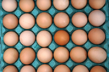 Fresh eggs in a cardboard box