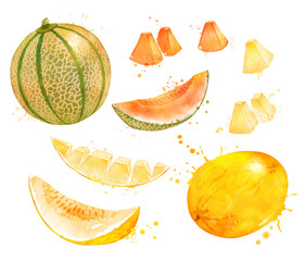Watercolor illustration set of Melons