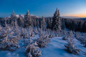 Fantastic evening landscape with dramatic winter scene with snowy trees. Carpathians, Romania