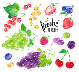 Watercolor illustration set of berries