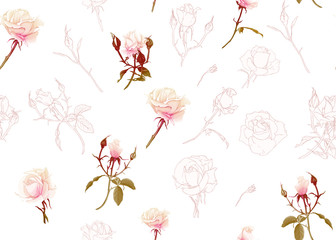 Rose roses seamless pattern. Isolated on white background. Colored and outline design. Vector illustration.