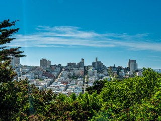 Streets of San Fransciso Top view