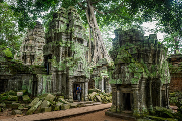 ruins of angkor wat complex at cambodia - obrazy, fototapety, plakaty